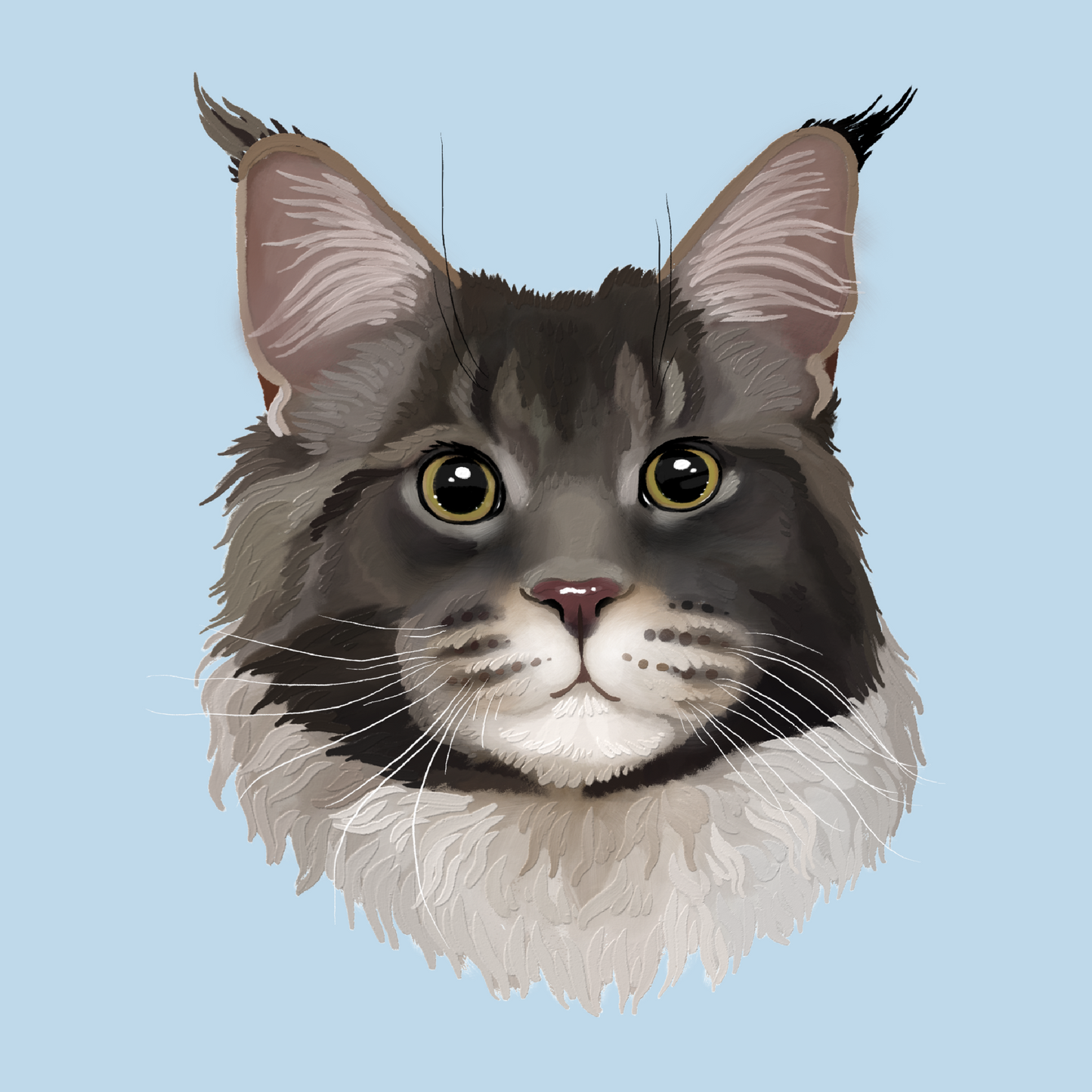 Custom Pet Digital Avatar From Your Pet Photo Simple gray cat front portrait blue background