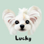 Custom Pet Digital Avatar From Your Pet Photo Simple small white dog name Lucky green background