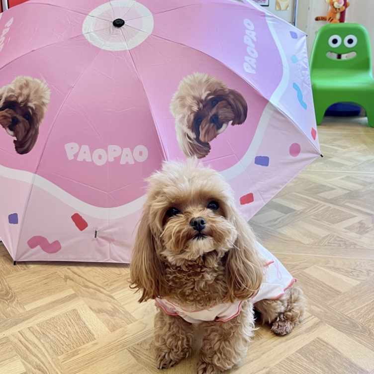 Person holding pink umbrella with bichon’s face printed, matching the dog outdoors with flowers.
