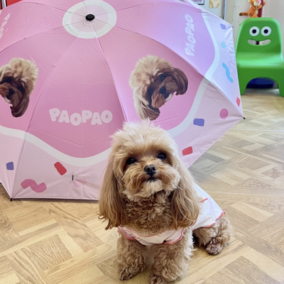 Person holding pink umbrella with bichon’s face printed, matching the dog outdoors with flowers.