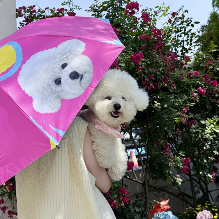Small brown dog sitting beside a pink custom pet umbrella printed with its portrait.